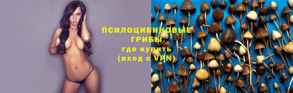 прущий лед Костерёво