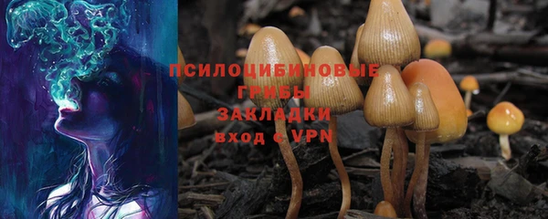 метадон Краснослободск