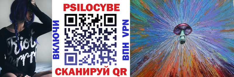 Галлюциногенные грибы Psilocybe  Купить  Буйнакск 